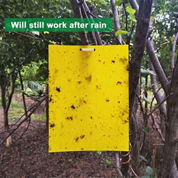 50 Sheets Yellow Sticky Traps, Fruit Fly Traps, for Indoor and Outdoor, Include Twist Ties and Plastic Holders