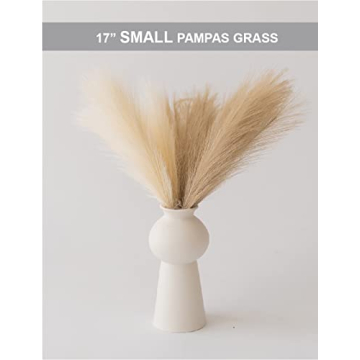 ChagoArt Faux Pampas Grass - Stylish Home Decor Stems