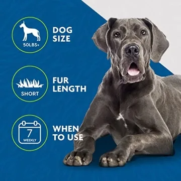 FURminator Deshedding Tool for Short Hair Dogs