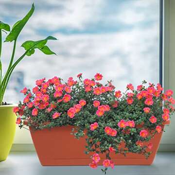 8pcs Window Box Planter,17 Inches Flower Window Boxes, Rectangle Planters Box with Drainage Holes and Trays, Plastic Vegetable Planters for Windowsill Patio Garden Home Decor Porch Yard (Red)