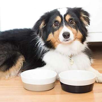 Waggo Dipper Ceramic Dog Bowl for Small and Large Breeds - Heavyweight and Durable Pet Food and Water Dish Crock, Dishwasher Safe, Modern (Vintage Grey, Medium)