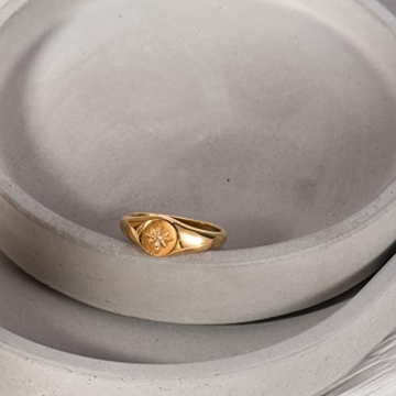 Elegant Aurelia Mae 18K Gold Plated Signet Ring
