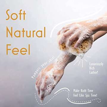 myHomeBody Bath Sponge, Foam Loofah Sponge, Body Sponge for Shower – Large Size, Lots of Lather, Curvy, 3 Pack