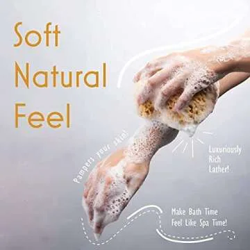 myHomeBody Bath Sponge, Foam Loofah Sponge, Body Sponge for Shower – Large Size, Lots of Lather, Curvy, 3 Pack