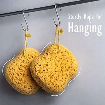 myHomeBody Bath Sponge, Foam Loofah Sponge, Body Sponge for Shower – Large Size, Lots of Lather, Curvy, 3 Pack