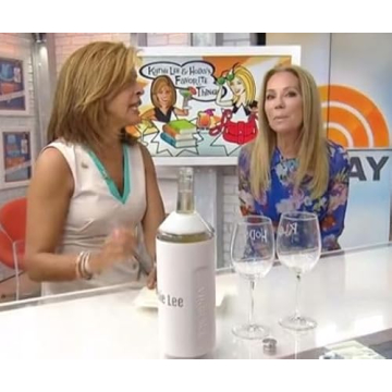 Vinglacé Wine Bottle Chiller Gift Set – Stylish & Portable