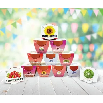 BUZZY Seeds Mini Grow Pots for Gardening Fun and Joyful Gifts