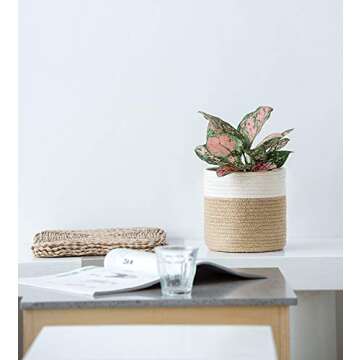 Dahey Small Cotton Rope Plant Basket Woven Plant Coiled Basket for Up to 7" Planter, Decorative Flower Pot Cover Closet Storage Bin Table Desk Organizer for Home Decor, White and Beige
