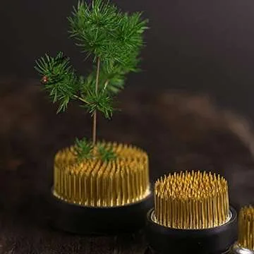 Ikebana Stem Holder, 3 Pieces Flower Frog Kenzan Fixed Tools Flower Holder Floral Arrangement Pin for Flower Arrangement Vase, Fixation and Decoration (Gold, 0.91 Inch, 1.02 Inch, 2.36 Inch)