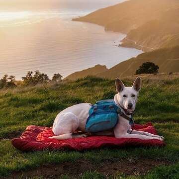 Kurgo Waterproof Dog Bed, Outdoor Bed for Dogs |Portable Bed Roll for Pets, Travel |Hiking, Camping, Wander Loft Dog Bed |Chili Red (Medium)