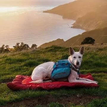 Kurgo Waterproof Dog Bed, Outdoor Bed for Dogs |Portable Bed Roll for Pets, Travel |Hiking, Camping, Wander Loft Dog Bed |Chili Red (Medium)