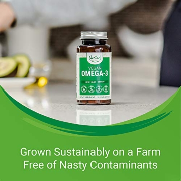 Vegan Omega-3 DHA Supplement | Plant-Based Omega Fatty Acids