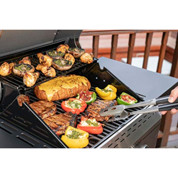 Megamaster 2-Burner Propane Grill Portable Outdoor Cooking