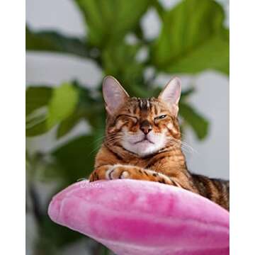 KBSPETS Wood Floral Cat Tree, Wooden Tower, Modern Flower Cat House, Furniture, Cat Gift, Luxury Cat Condo (Azalea)