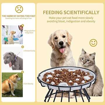 AOMRYOM Slow Feeder Cat Bowl with Elevated Metal Stand & Water Bowl, Ceramic Fun Interactive Slow Down The Eating Speed of Cats and Dogs, Against Bloat, Less Vomiting Pet Feeding Dish, White