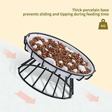 AOMRYOM Slow Feeder Cat Bowl with Elevated Metal Stand & Water Bowl, Ceramic Fun Interactive Slow Down The Eating Speed of Cats and Dogs, Against Bloat, Less Vomiting Pet Feeding Dish, White