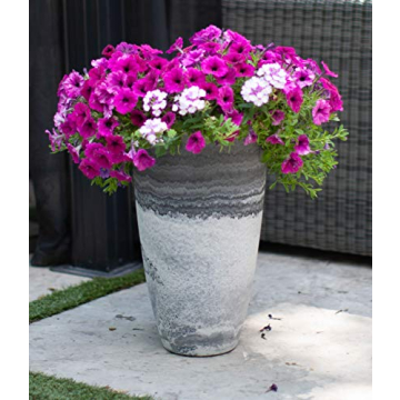 Algreen Acerra Planter - Stylish & Sustainable Garden Decor