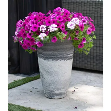 Algreen Acerra Planter - Stylish & Sustainable Garden Decor