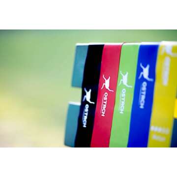 Ostrch Resistance Loop Bands for Home or Outdoor Workouts: Fitness, Physical Therapy, Yoga - Exercises for Legs and Butt Toning and Muscle Gain - Set of 5