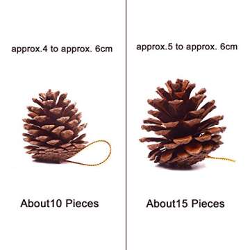 Whaline 25 Pcs 1.6-2.4 Inches Christmas Pine Cones Decoration with String, Natural Rustic Pinecones ...