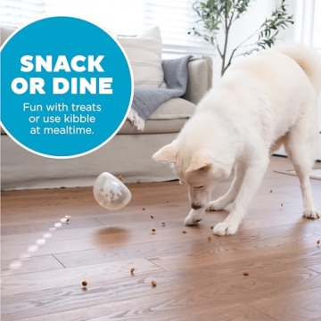 Interactive Treat Dispensing Toy for Dogs – Outward Hound