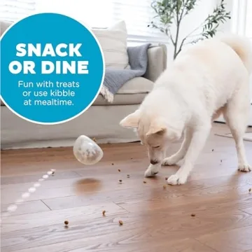 Interactive Treat Dispensing Toy for Dogs – Outward Hound