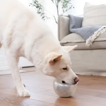 Interactive Treat Dispensing Toy for Dogs – Outward Hound