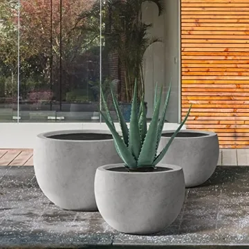 Kante Round Concrete Planter Set - Stylish & Durable Planters