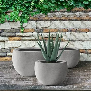 Kante Round Concrete Planter Set - Stylish & Durable Planters