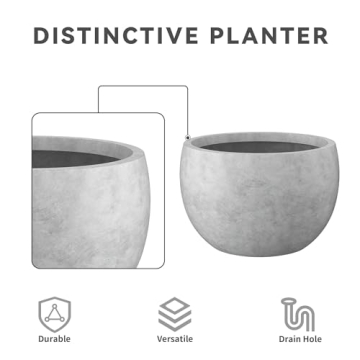 Kante Round Concrete Planter Set - Stylish & Durable Planters