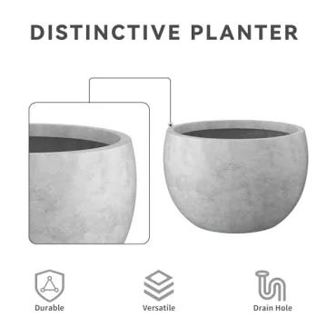 Kante Round Concrete Planter Set - Stylish & Durable Planters