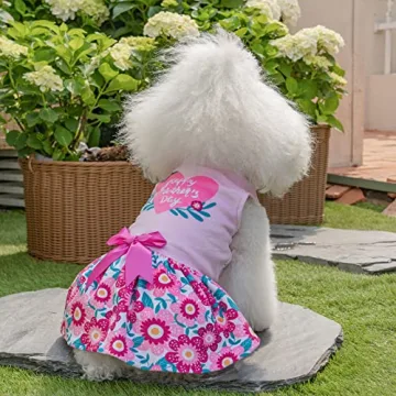 CuteBone Velvet Dress for Small Dogs - Mother's Day Special