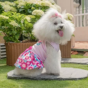 CuteBone Velvet Dress for Small Dogs - Mother's Day Special