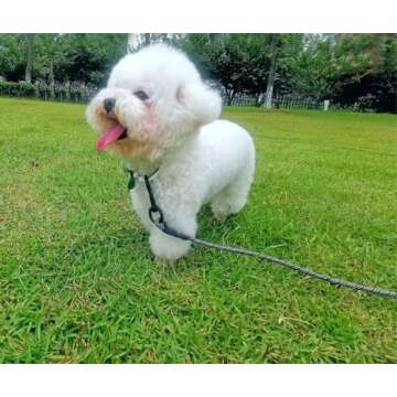 Mycicy 12, 15, 22, 30, 50, 75, 100ft Long Dog Leash Check Cord Recall Agility Long Line for Small Medium Dogs, Great for Training Outdoor, Camping, or Backyard (black-50 ft)