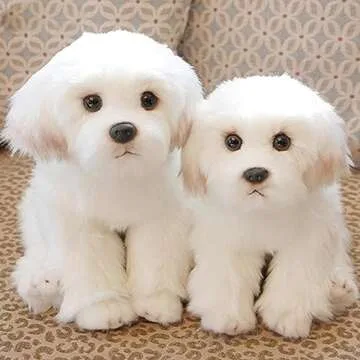 Ganz Bichon Frise Plush Toy - Soft 12" Cuddle Buddy
