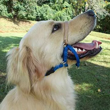 Comfort Trainer Dog Head Halter for Walking & Training