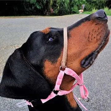 Comfort Trainer Dog Head Halter for Walking & Training