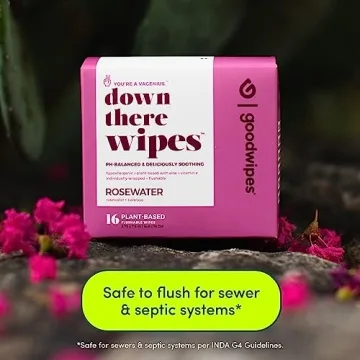 Goodwipes Feminine Hygiene Wipes Soothing pH Balanced Flushable