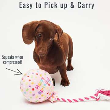 PET LONDON Birthday Pink Balloon Dog Toy - Celebrate Dog's Happy Birthday - Plush Colourful Rainbow Confetti Pattern Dog Party Gift-Perfect Pup Special Day Present-UK Designer Brand-Bday or Adoption