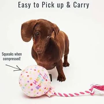 PET LONDON Birthday Pink Balloon Dog Toy - Celebrate Dog's Happy Birthday - Plush Colourful Rainbow Confetti Pattern Dog Party Gift-Perfect Pup Special Day Present-UK Designer Brand-Bday or Adoption