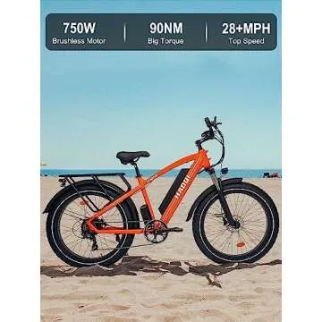 HAOQI Leopard Pro Electric Bike with 1000W Motor