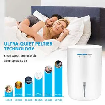 Letsport 68oz Dehumidifier for Home, Compact & Portable