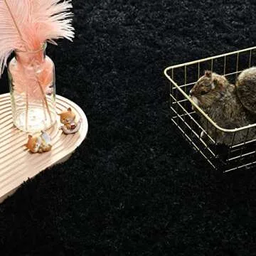 Andecor Soft Fluffy Bedroom Rugs, 5 x 8 Feet Indoor Shaggy Plush Area Rug for Boys Girls Kids Baby College Dorm Living Room Home Decor Floor Carpet, Black