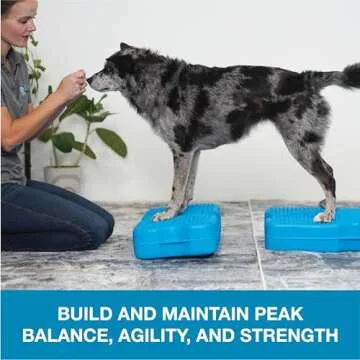 Blue-9 Propel Air Platform Kit for Balanced Dog Training