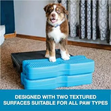 Blue-9 Propel Air Platform Kit for Balanced Dog Training