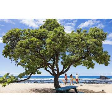 Hydro Flask Standard Mouth Bottle with Flex Cap