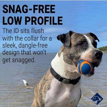 Personalized Dog Tags by ROAD iD | Silent & Durable | Jingle-Free Slide-On Design | Stainless Steel Name Tag Fits Any Collar | Multiple Colors & Sizes for Your Pet's Unique Style