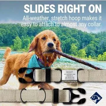 Personalized Dog Tags by ROAD iD | Silent & Durable | Jingle-Free Slide-On Design | Stainless Steel Name Tag Fits Any Collar | Multiple Colors & Sizes for Your Pet's Unique Style