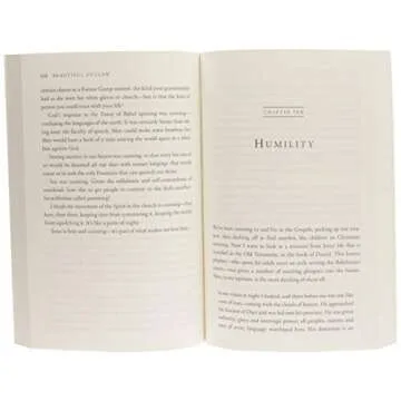 Beautiful Outlaw: Experiencing the Playful, Disruptive, Extravagant Personality of Jesus