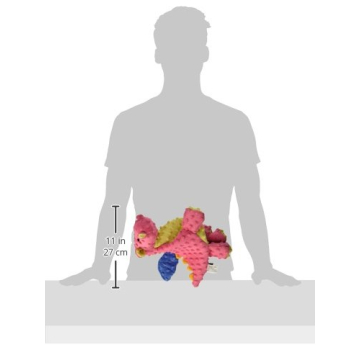 goDog Dragon Squeaky Toy - Chew Guard Technology Large